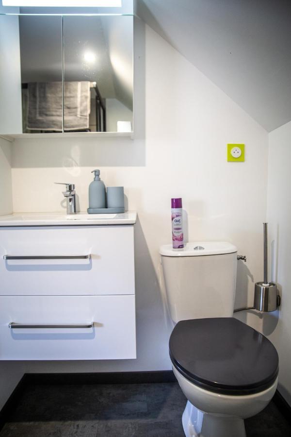 Bienvenue Dans Le Chartreuse 2 A 6 Couchages Appartement Cholonge Buitenkant foto